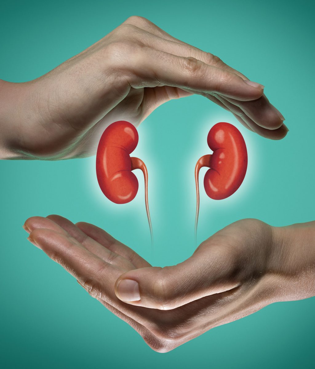 A human kidneys between two palms of a woman on  blue and green background. The concept of a healthy liver.